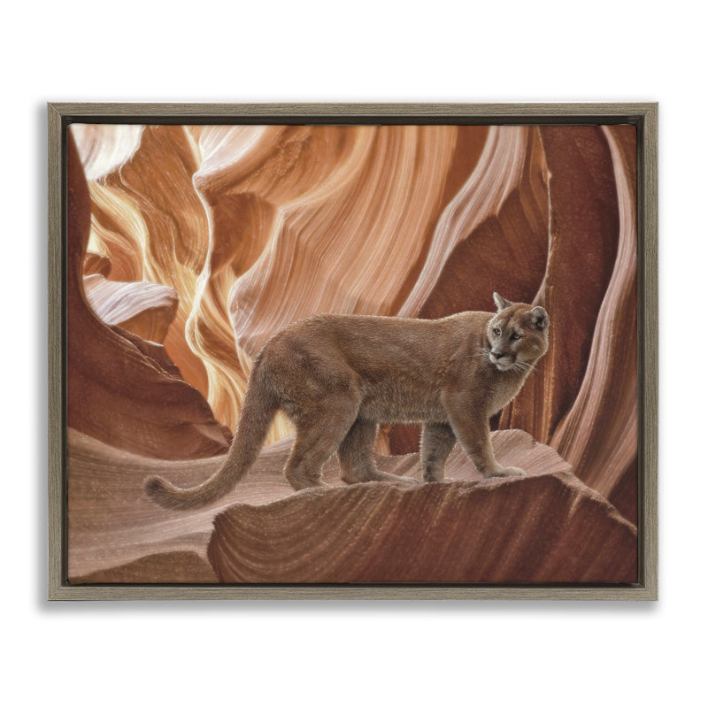 Cadre flottant Cougar Canyon View, design par Collin Bogle, Cadre flottant orme Montalcino, H 17 po x l 21 po