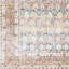 Oriental Area Rug-1671716382