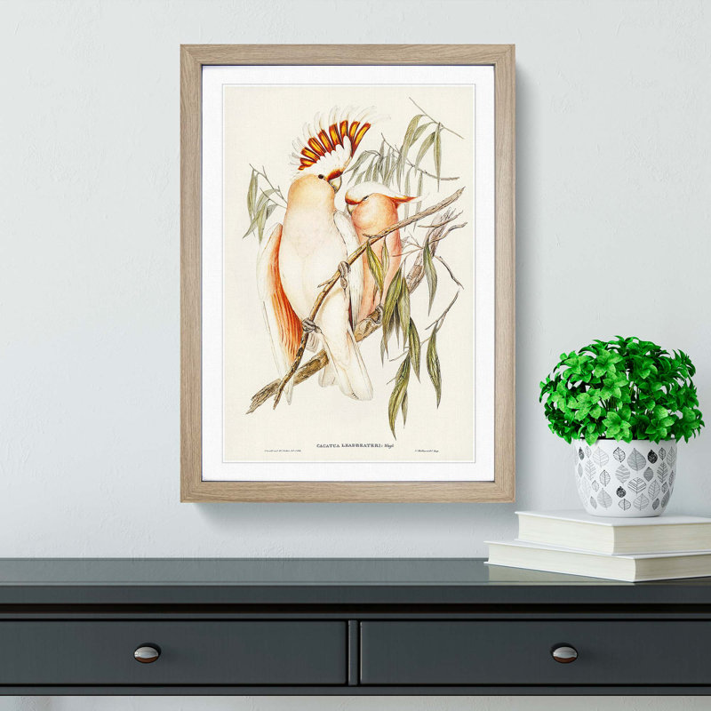 Leadbeater's Cockatoos by Elizabeth Gould - Picture Frame Painting Print, 36cm H x 27cm W x 2cm D, Oak Framed
