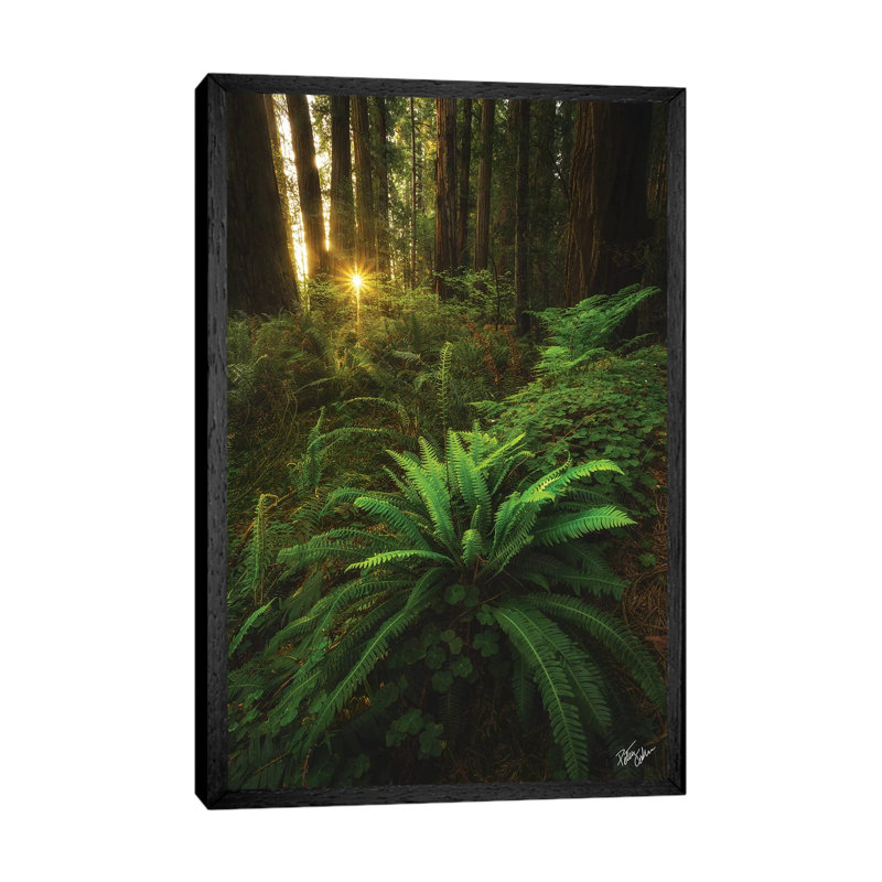 Peeking by Peter Coskun - Floater Frame Gallery-Wrapped Canvas Giclée on Canvas, 66.04 cm H x 45.72 cm W, Black Framed Canvas