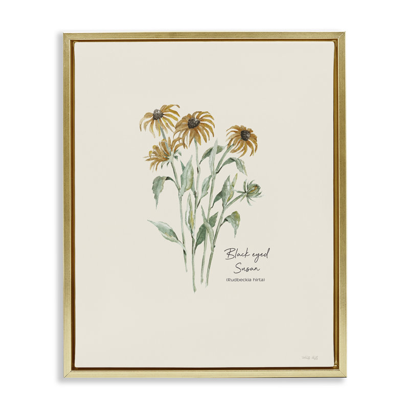 «Black Eyed Susans» par Cindy Jacobs, Cadre flottant métallique doré, H 31 po x l 25 po