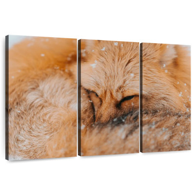 Renard moelleux Brampt