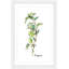 Rachel Byler - Single Picture Frame Painting-37741835
