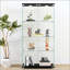 Vitrine moderne en verre avec lumières DEL