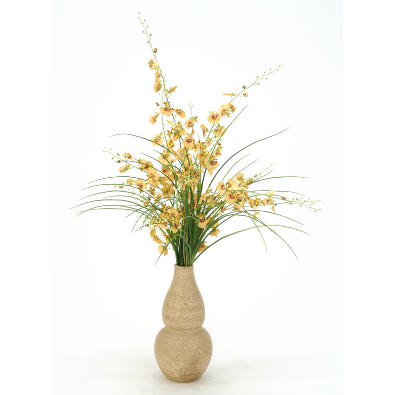 Orchid Arrangement in Vase