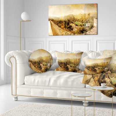 Throw Pillow