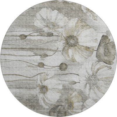 Premium Machine Washable Prisco Taupe Rug