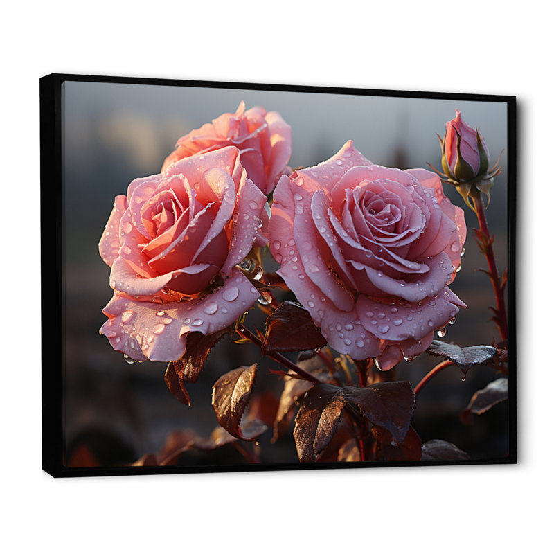 Roses roses lustrées du matin, H 12 po x l 20 po x P 1 po, Cadre flottant noir
