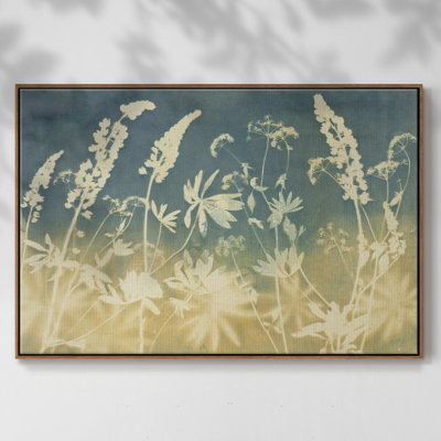 " Solstice Lupine "
