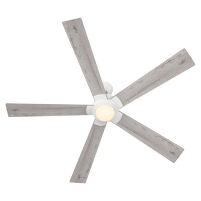 60'' Ceiling Fan with LED Lights