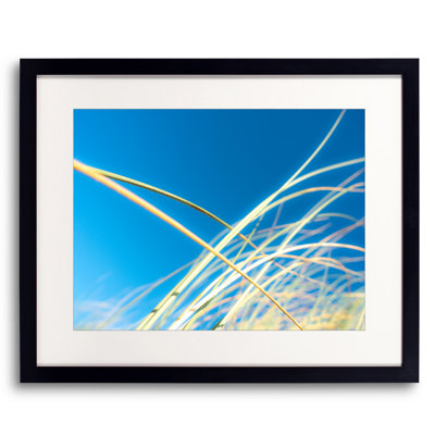 Dune Grasses Print by Petra Trimmel