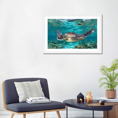 Learn to Fly by Jordan Robins - Photograph Print