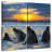 Brampt Grand Cayman Dolphins-109134256