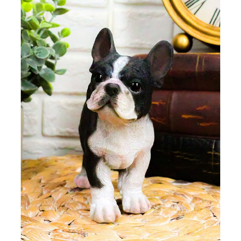 Figurine bouledogue français Bulwell