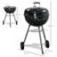 CLIY 65 W Charcoal Grill