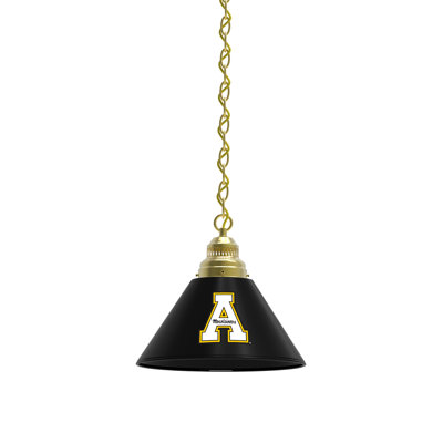 1 - Light Single Pendant