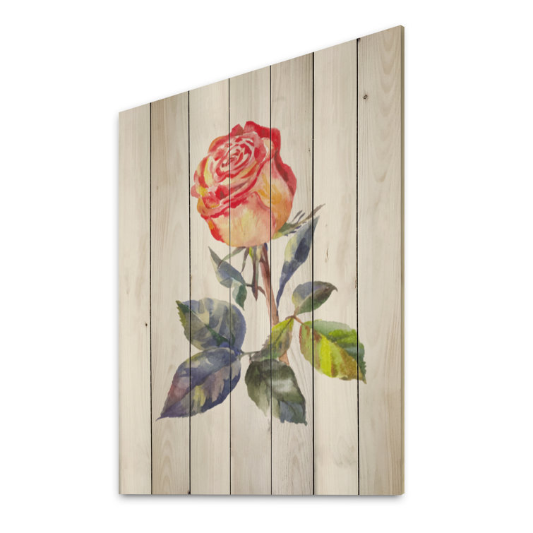 Winston Porter Single Vintage Rose On Wood Painting | Wayfair