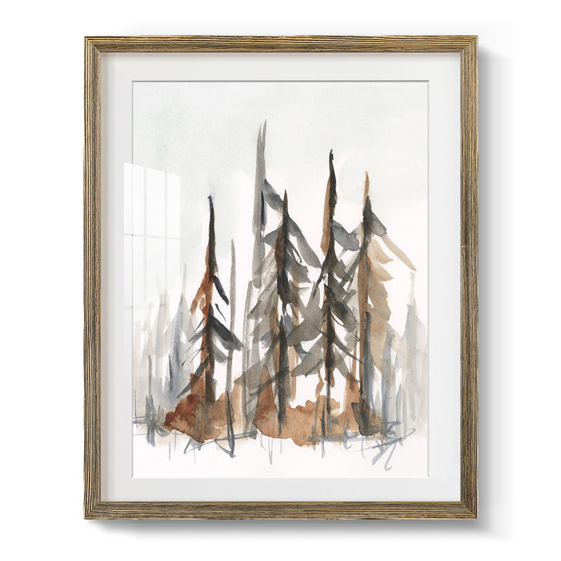 Impression encadrée embelli «Coastal Plain I», Blanc, Papier avec cadre noyer
