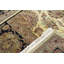 Wool Oriental Area Rug