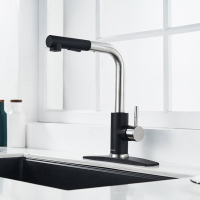 Pull Down Spray Single Lever Kitchen Tap