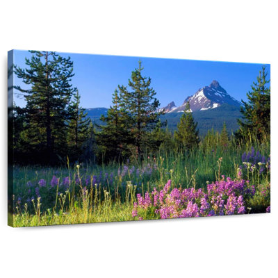 Champ de fleurs d'Alvord Mount Washington