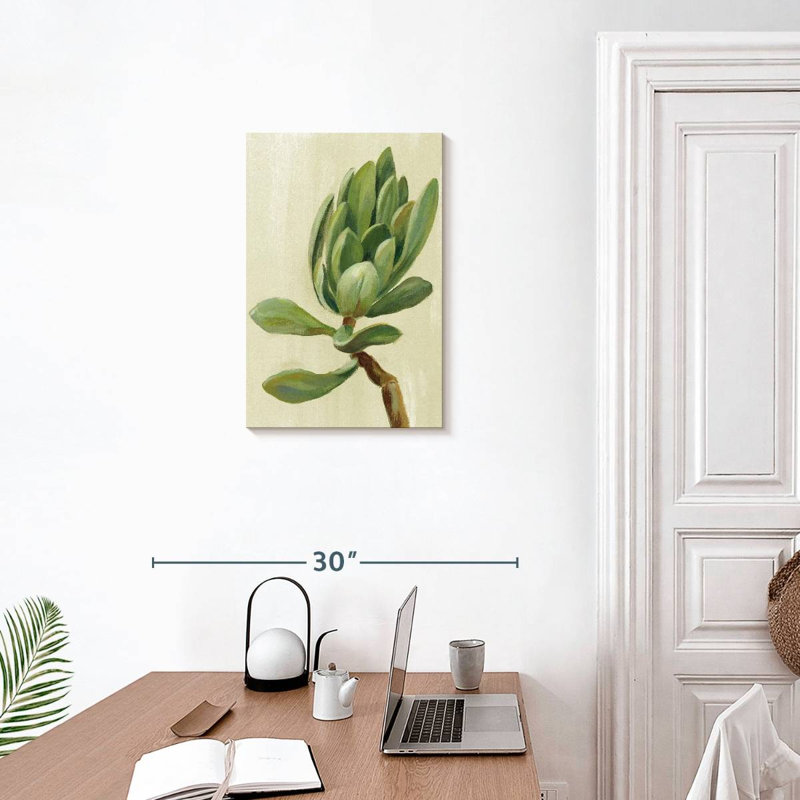 Plante grasse Harnek, H 24 po x l 16 po