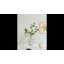 Tige de fausse branche de Pieris-2109992346