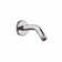 Showerpower Shower Arm with Flange