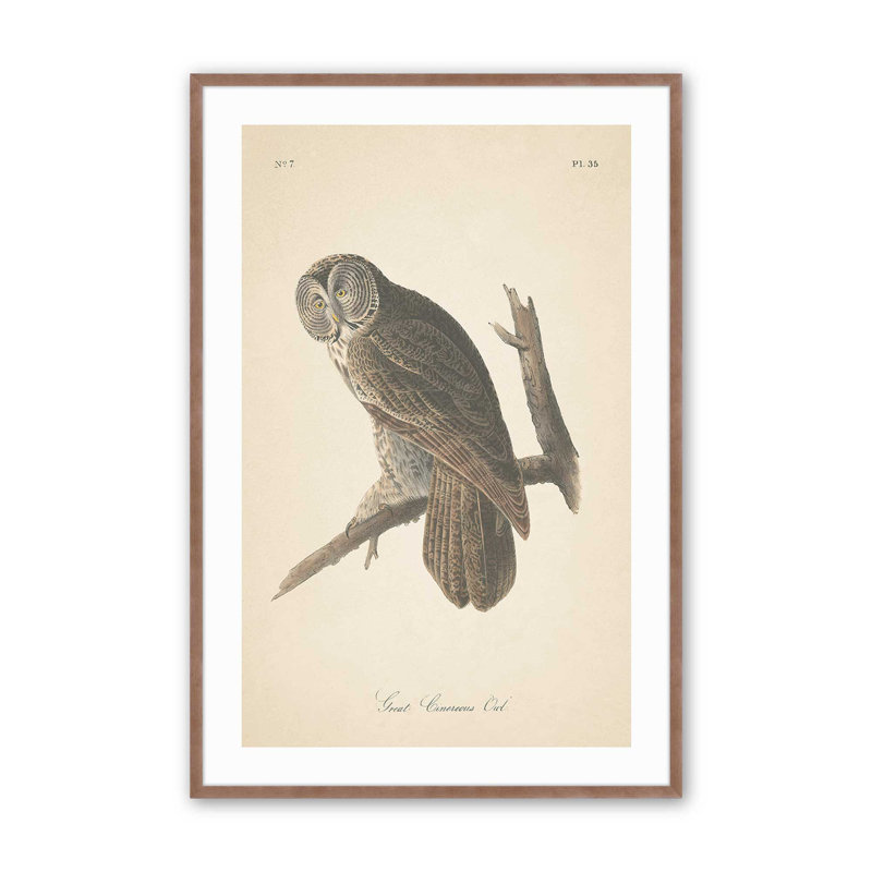 Impression d'un hibou perché dans un, Encadré rose poudre, H 15 po x l 12 po x P 1,375 po
