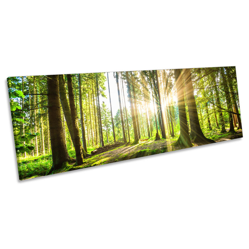 Green Countryside Forest - Wrapped Canvas Panoramic Print, 30.48cm H x 91.44cm W x 2cm D