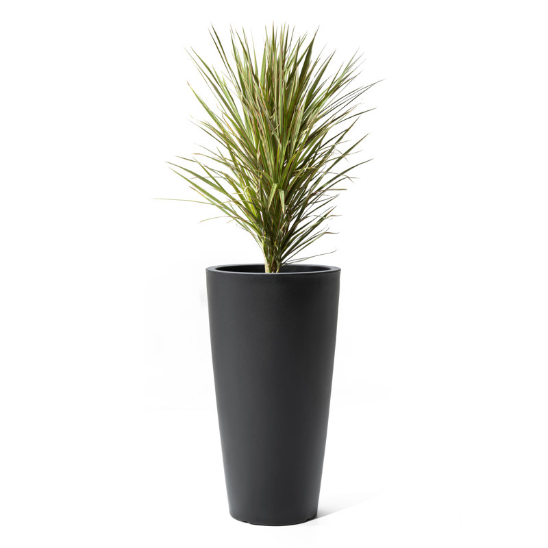 Tall Onyx Black Resin Round Indoor/Outdoor Planter