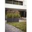 Pot Planter-37944991-37904872