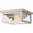 Ola Glass Flush Mount