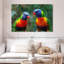 «Brampt Lorikeet Buddies»-107847268