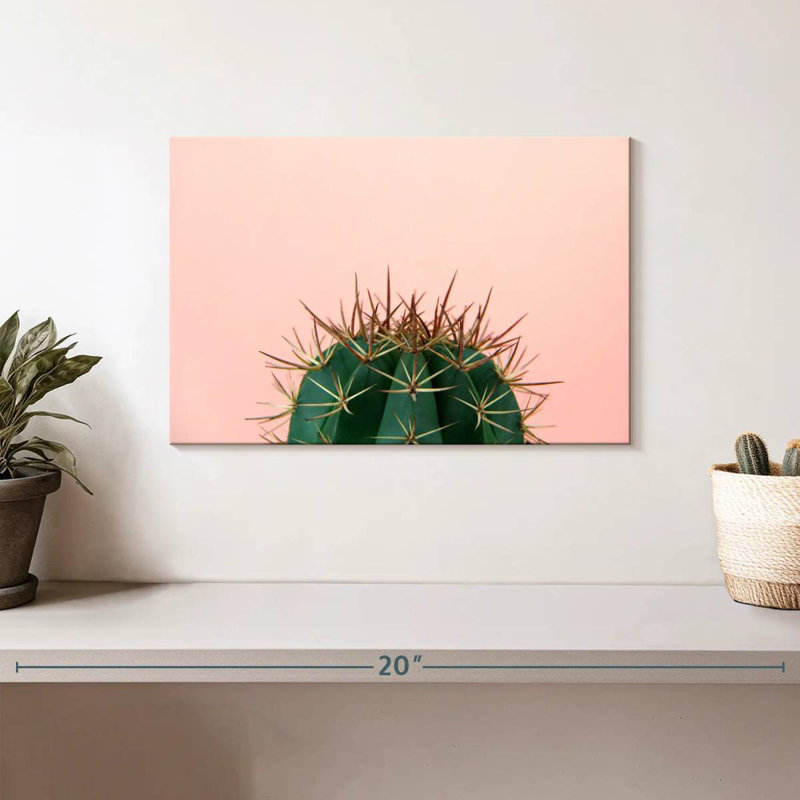 Harnek Simple Cactus, 8" H x 12" W