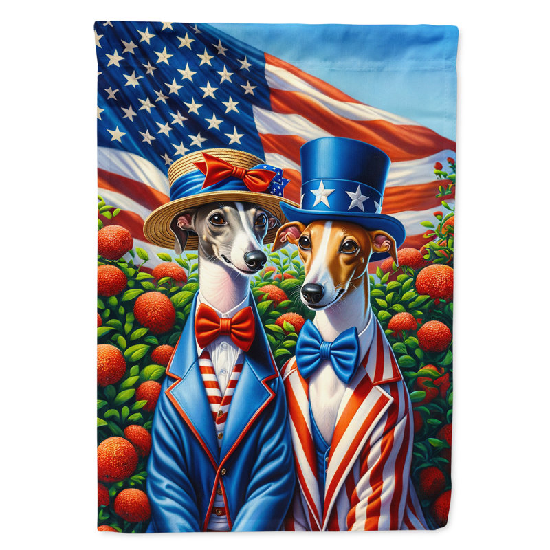Drapeau «All American House», Lévrier italien