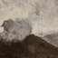 Sierra Polyester Blend Tapestry