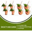 Ensemble-cadeau Sol Mint Julep Cups and Moscow Mule