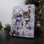 Mini fond de chevalet 8 x 6 Frosty Family Fun