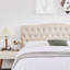 Dayanis Upholstered Headboard-353512049-353512048