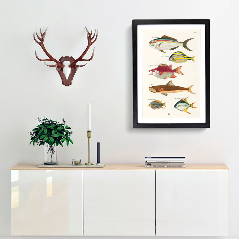 East Indies Fish Illustrations Fol. 27 by Louis Renard - Picture Frame Painting Print, 48cm H x 36cm W x 2cm D, Black Framed