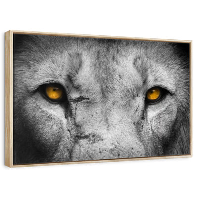 Lion Eyes Pop