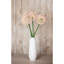 Arrangement-128130315-128130319