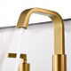 Widespread Bathroom Faucet with Drain Assembly