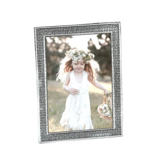 Gebhardt Nickel Plated Metal Matte Picture Frame
