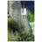 Balad Lamp-70508223-80496969