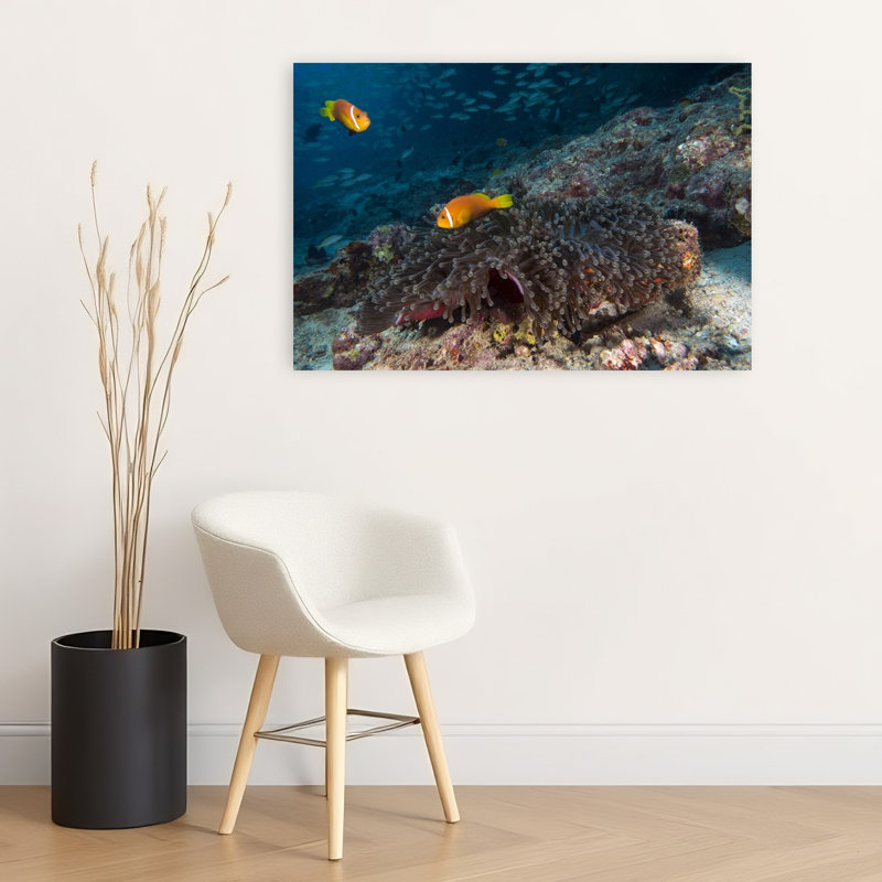 «Orange Clownfish in Anemone», impression d'art mural coloré de nature pacifique, 24" H x 36" W