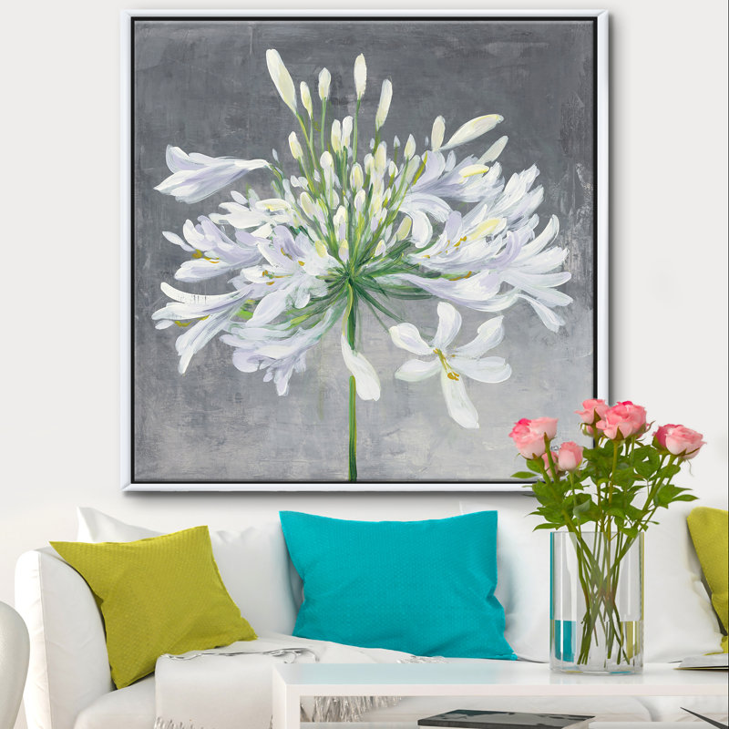 « fleur cleome splash i » traditionnel, reproduction d’impression sur toile encadrée, H 46 po x l 46 po x P 1,5 po