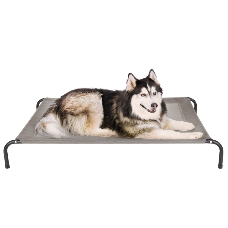 Elevated Cot Pet Bed, Gray, 8" H x 36" W x 54.5" D