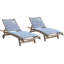 Delphi 2 Pc. Antique Wash Chaise Lounge Chairs